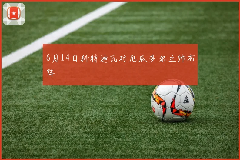 6月14日科特迪瓦对厄瓜多尔主帅布阵