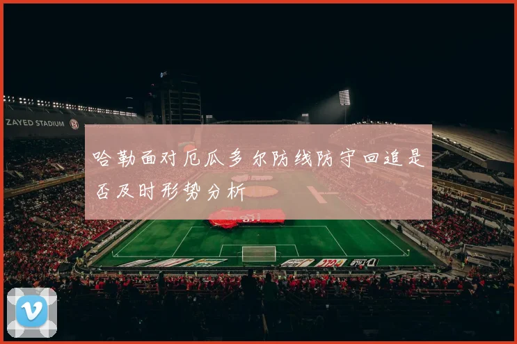 哈勒面对厄瓜多尔防线防守回追是否及时形势分析