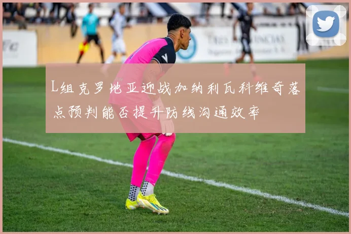 L组克罗地亚迎战加纳利瓦科维奇落点预判能否提升防线沟通效率