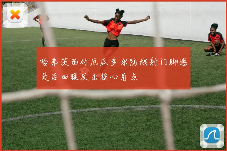 哈弗茨面对厄瓜多尔防线射门脚感是否回暖反击核心看点